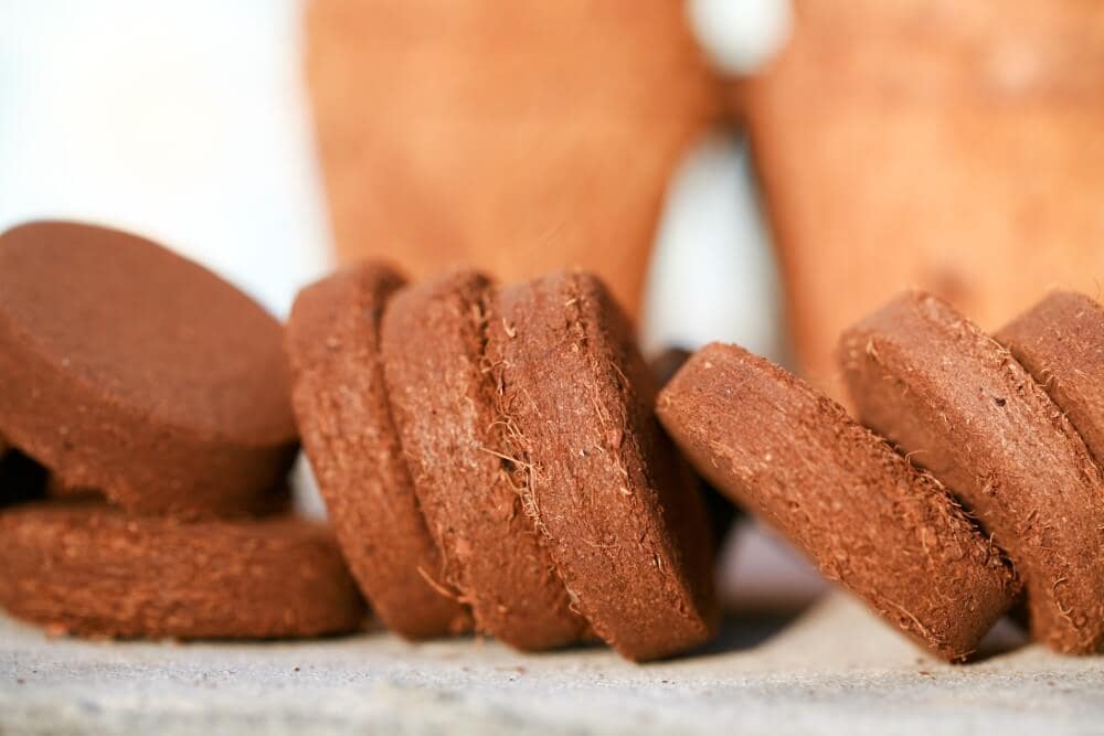 Coco Disc - Eco Fresh World