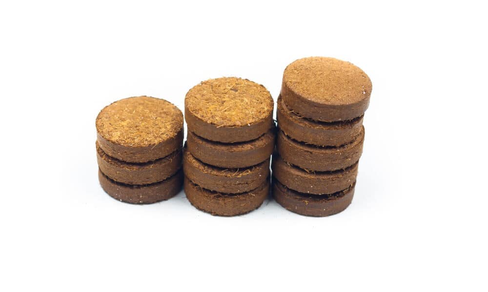 Coco Disc - Eco Fresh World