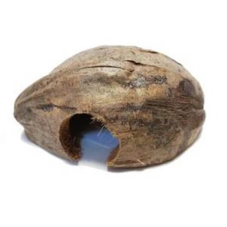 Backgrounds & Decors - Eco Fresh World